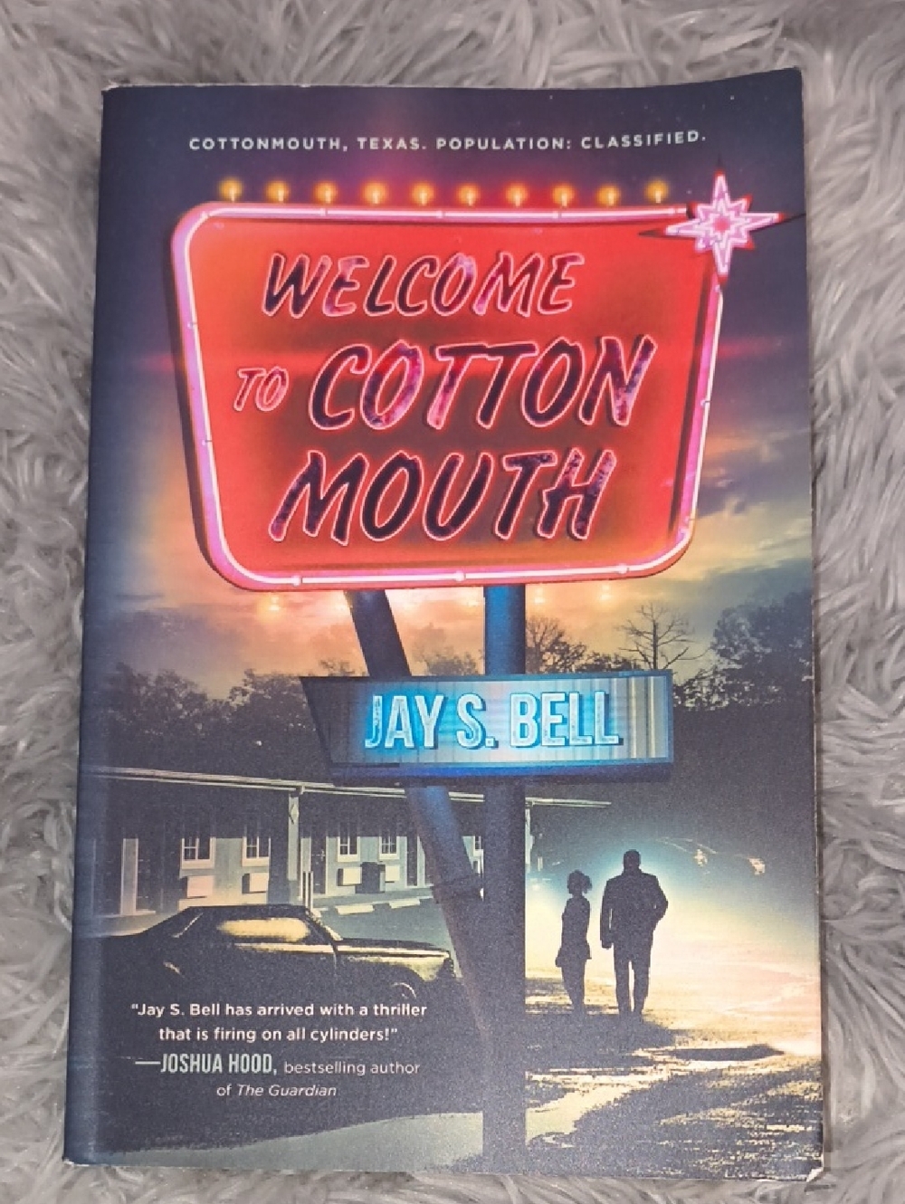 Novel